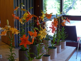 Foto: Dr. Peter Müller